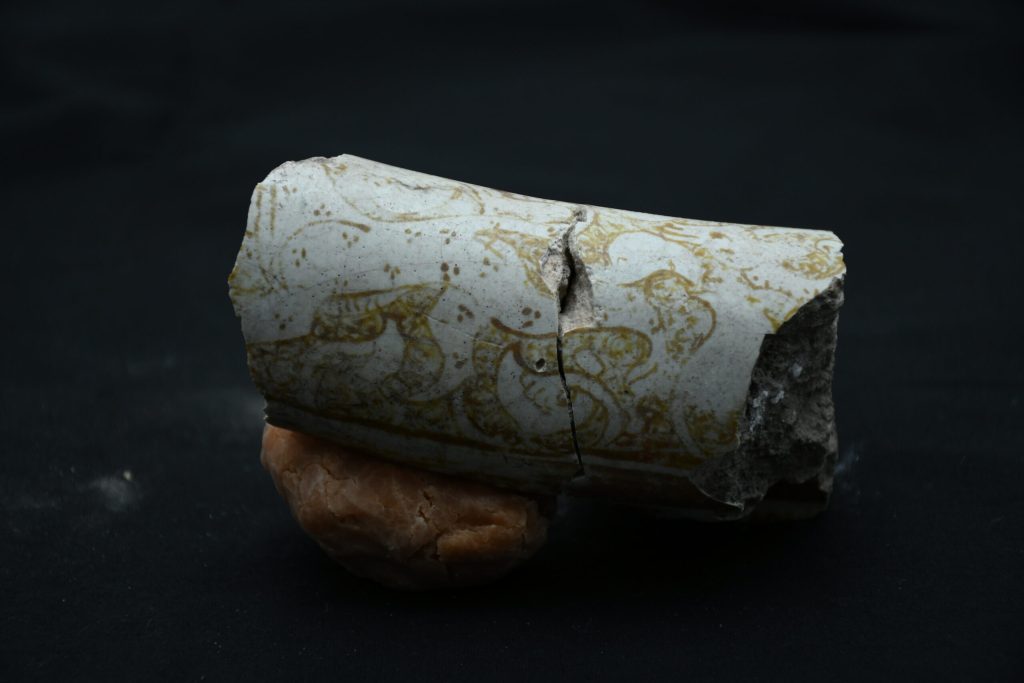 Hasankeyf’deki kazıda Anadolu parsına ait olabilecek figür bulundu – BRTK