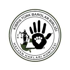 Barolar Birliği ve sivil toplum örgütlerinden Ceza (Değişiklik) Yasa Önerisi değerlendirmesi – BRTK