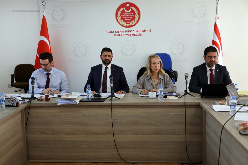 Sağlık Hizmetleri Dairesi Yasa Tasarısı komitede ele alınıyor – BRTK