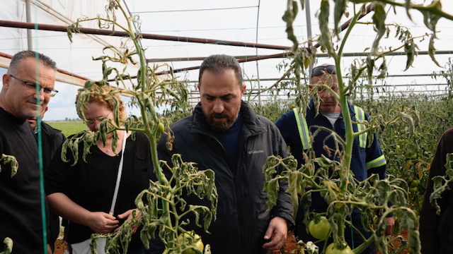Tarım Bakanı Çavuş:Don zararından etkilenen üretim alanlarının hızlı bir şekilde tespit edilmesi için gerekli çalışmalar başlatıldı – BRTK