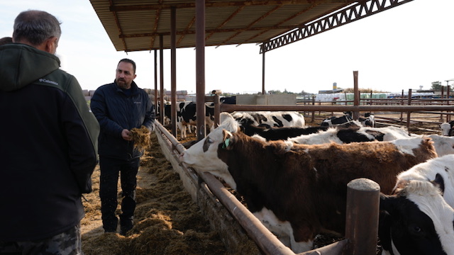 Tarım Bakanı Çavuş, Çaplı Süt ve Damızlık İnek Çiftliği’ni ziyaret etti – BRTK