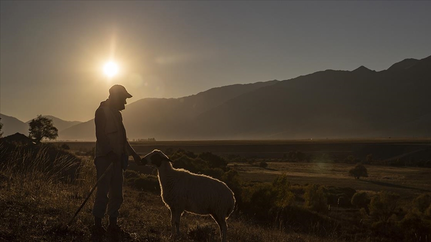 Türkiye’nin nüfusu artarken kırsalda nüfus azalıyor – BRTK