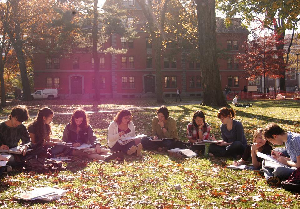 Türkiye’den 11 üniversite “Dünyanın en iyi üniversiteleri” sıralamasında ilk 1000’e girdi – BRTK