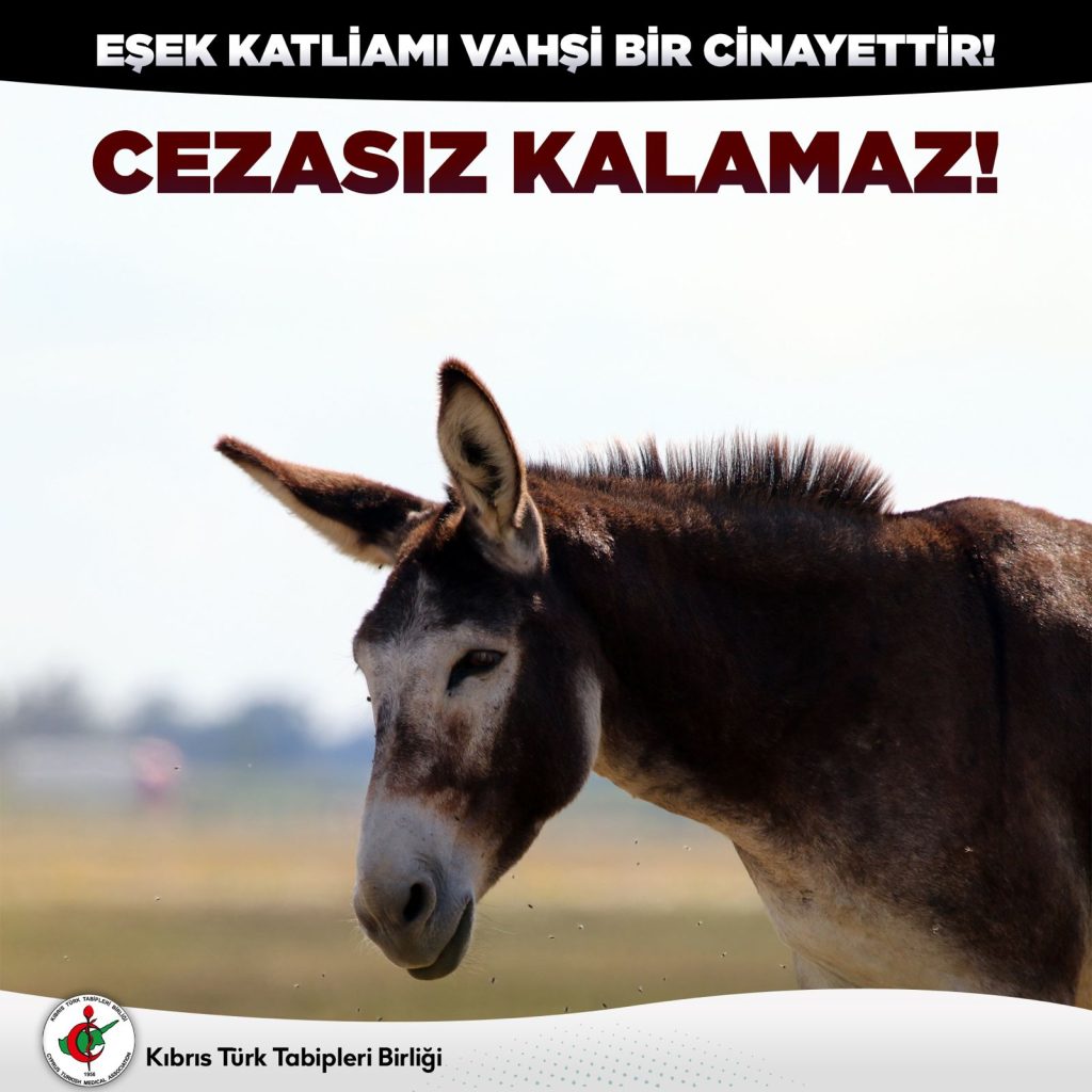 “Eşek katliamı vahşi bir cinayettir, cezasız kalamaz” – BRTK