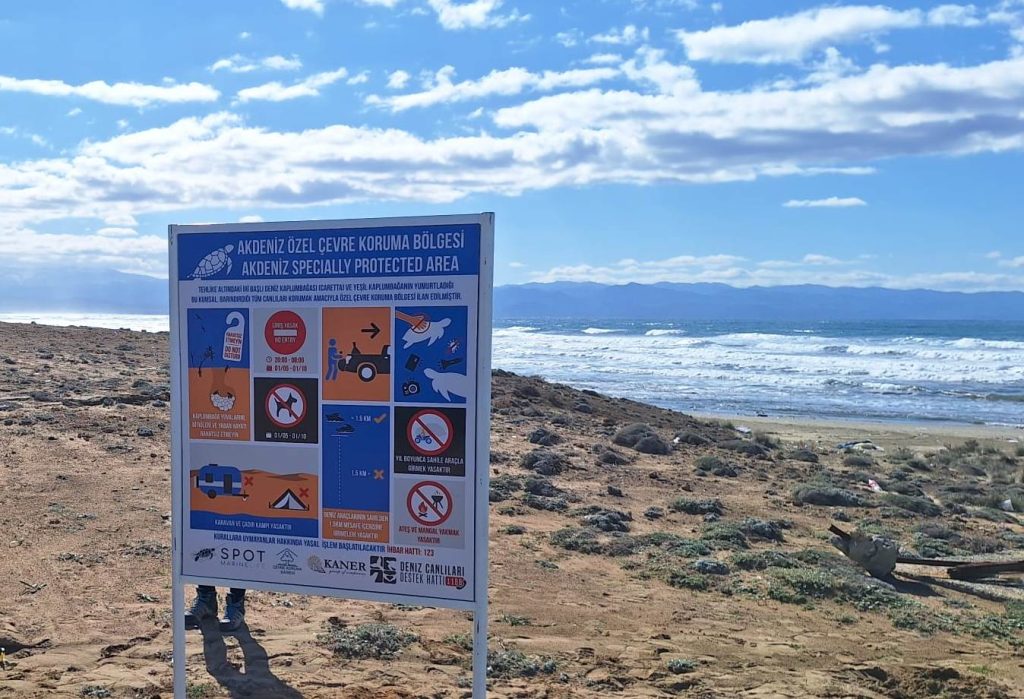 Akdeniz Özel Çevre Koruma Bölgesi’nde deniz kaplumbağalarını korumak için levhalar dikildi – BRTK