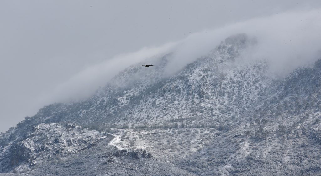 Yarın yüksek kesimlerde karla karışık yağmur bekleniyor – BRTK