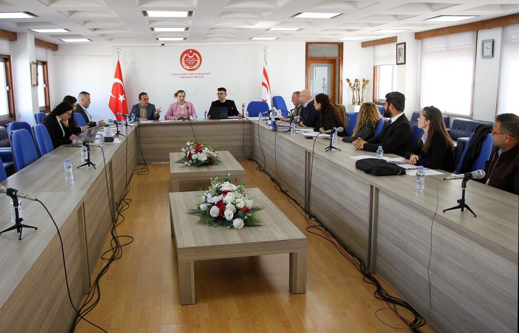 Ekonomi, Maliye, Bütçe ve Plan Komitesi, Kıbrıs Türk Liman İşçileri Şirketi (Değişiklik) Yasa Tasarısı’nı görüştü – BRTK