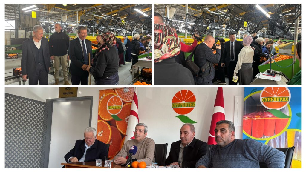 Başbakan Üstel, Cypfruvex’i ziyaret etti, çalışmalarla ilgili bilgi aldı …Cypfruvex Yönetim Kurulu narenciye ürün alım bedellerinin taban fiyatlarını açıkladı – BRTK
