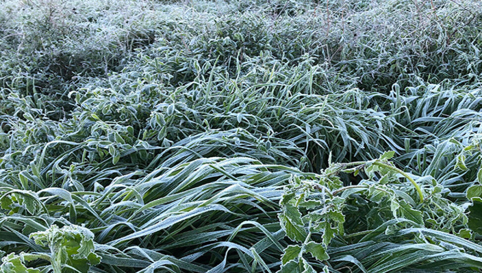 Yer yer don olayları Perşembe’ye kadar sürecek – BRTK