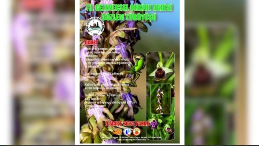 13. Geleneksel Orkide Vadisi Gözlem Yürüyüşü 9 Mart Pazar günü yapılacak… – BRTK