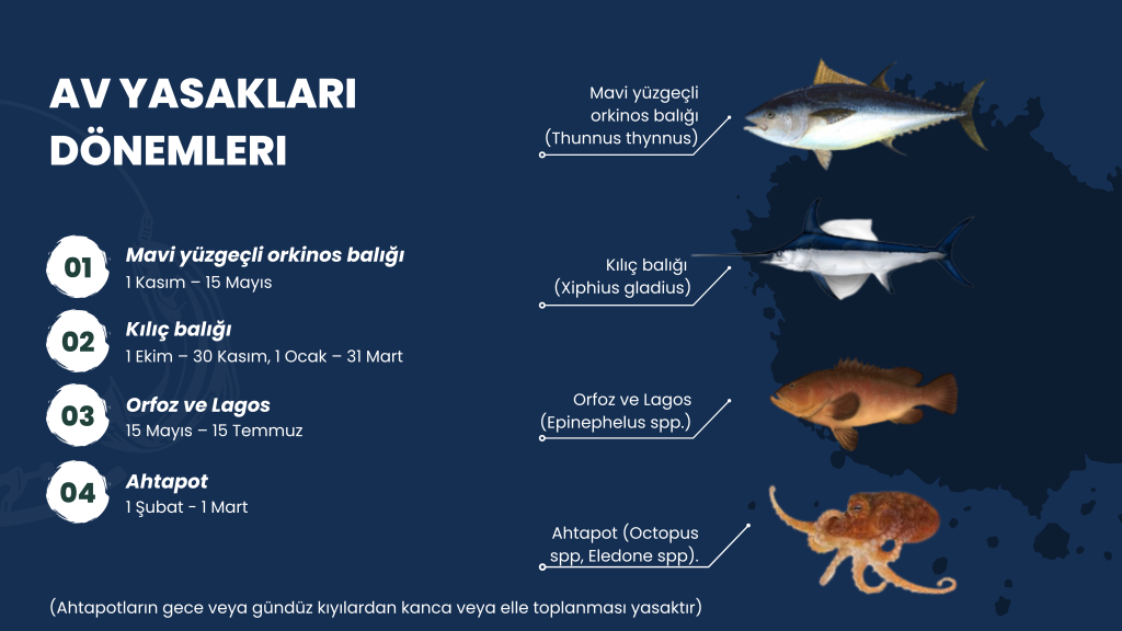 Su ürünleri dönemsel av yasakları konusunda bilgilendirme yapıldı – BRTK