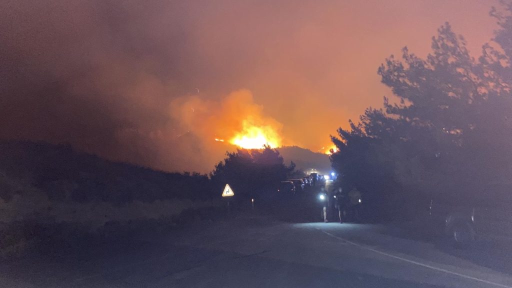 Ormanlar için 125 kişilik yangın hazır kuvvet ekibi kuruluyor – BRTK