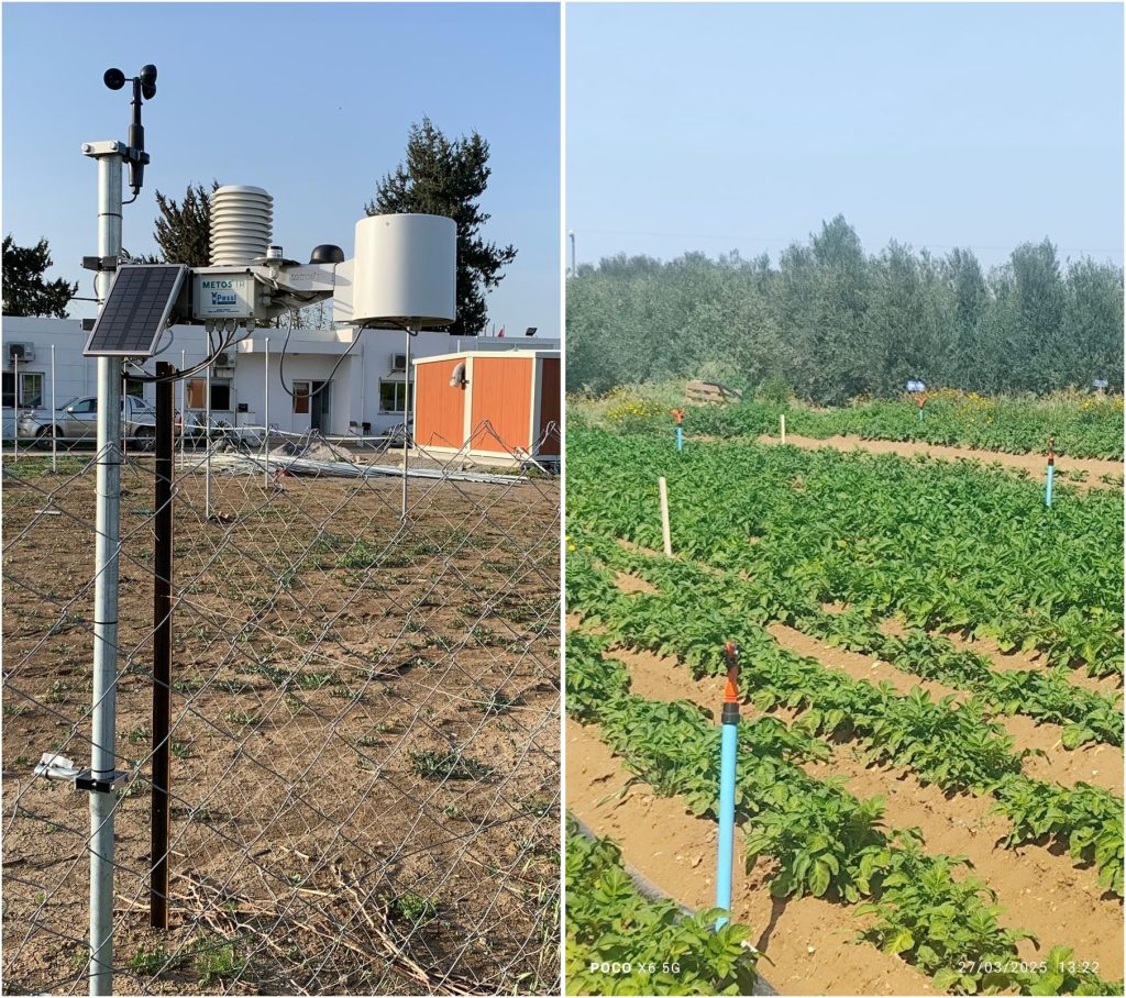 Tarımsal üretimde erken uyarı sistemi hayata geçirildi – BRTK