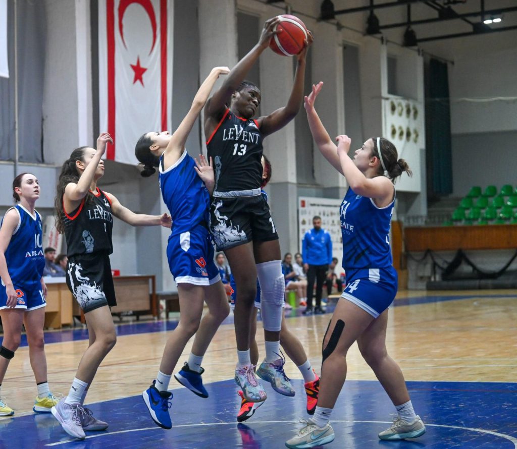 Levent ve TED galip – BRTK