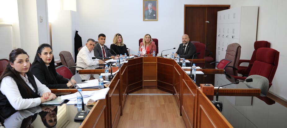 Hukuk, Siyasi İşler, Dışilişkiler ve Savunma Komitesi toplandı – BRTK