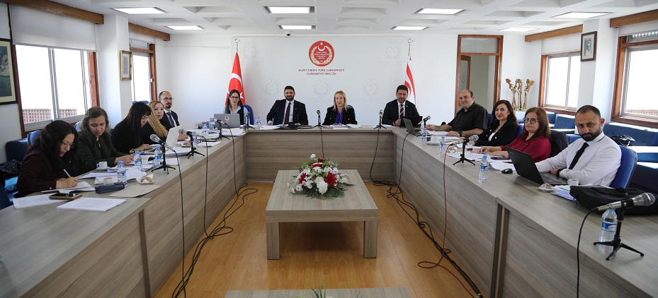 İdari Komite, Sağlık Hizmetleri Dairesi Yasa Tasarısı’nı ele aldı – BRTK