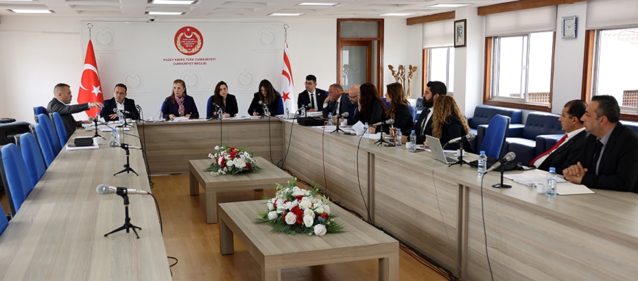 Ekonomi, Maliye, Bütçe ve Plan Komitesi, 3 yasa tasarısını görüştü – BRTK