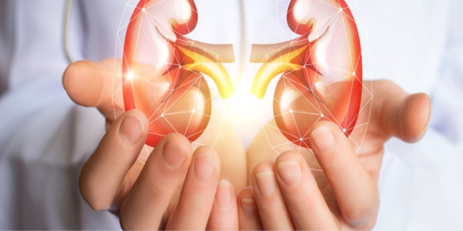 Bugün Dünya Böbrek Günü…“Akdeniz diyeti hayatın parçası haline getirilmeli” – BRTK