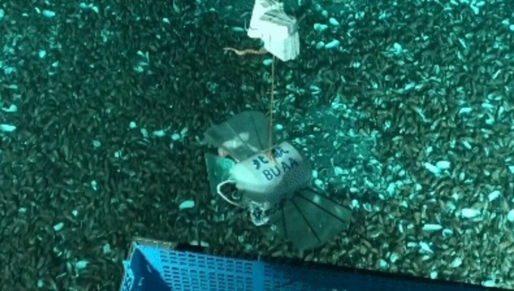 Mariana Çukuru’nda bir robot: Çinli bilim insanlarından yeni atak – Son Dakika Teknoloji Haberleri