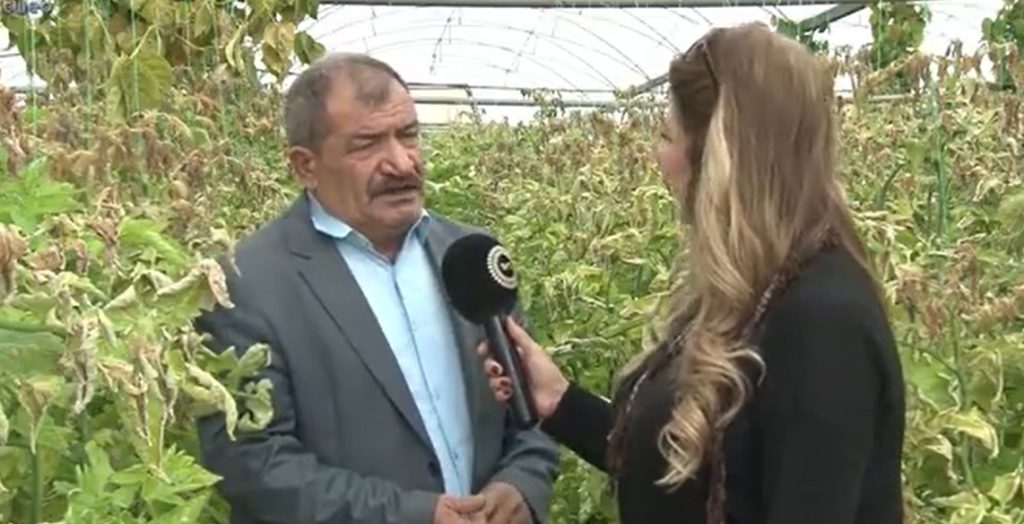 Seracılar Birliği Başkanı Veli Bayır, sebze ekim takvimi ve Seracılar Birliği’nin sorunları ile ilgili BRT’ye bilgi verdi – BRTK