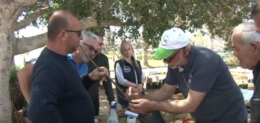 Tarımsal Araştırma Enstitüsü tarafından “ Meyve Ağaçlarında Aşılama Teknikleri” konulu uygulamalı eğitim gerçekleştirildi – BRTK