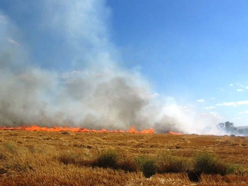 Lefke ve Yeşilırmak’ta yangın – BRTK
