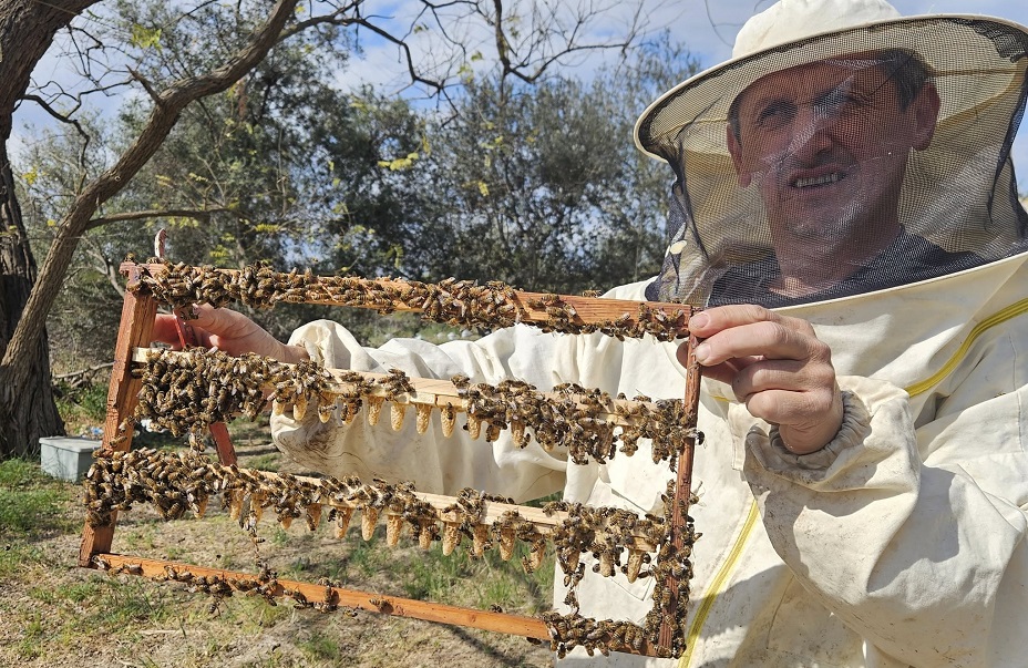 Mersinlik’teki ana arı üretim tesisinde çalışmalar sürüyor… “Ülkede bir ilk” – BRTK