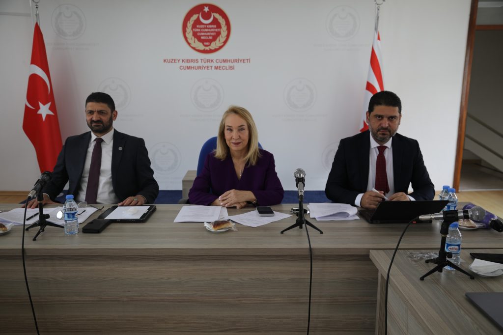 “Sosyal Hizmetler Dairesi Yasa Tasarısı” komitede görüşülüyor – BRTK