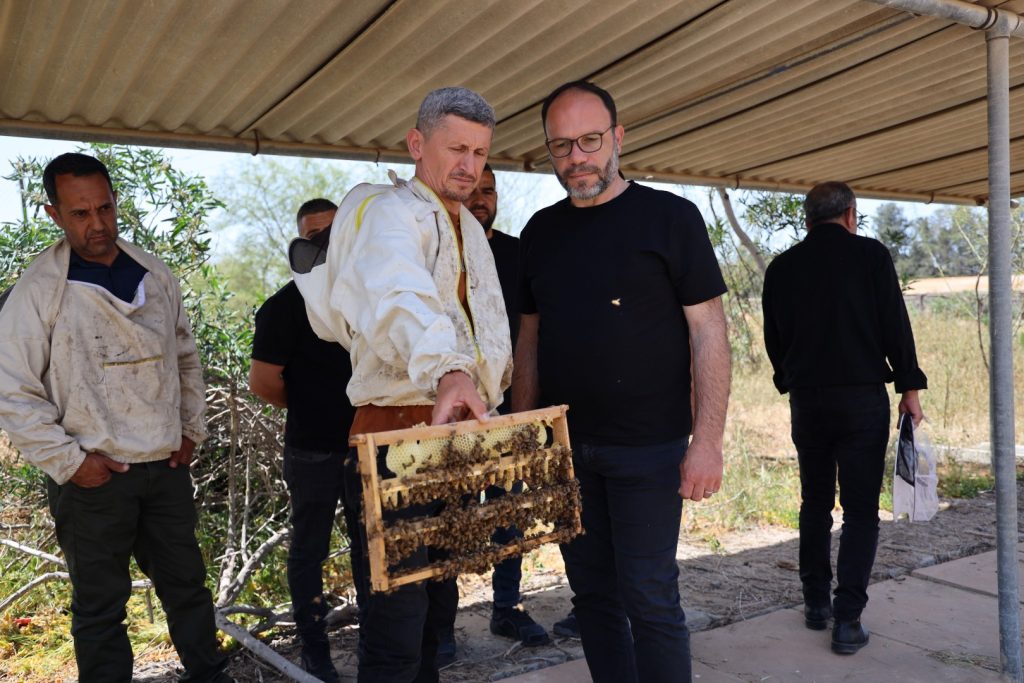 Ülkede ilk ana arılar üretildi – BRTK