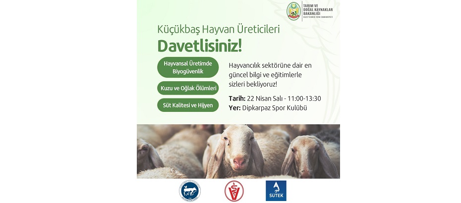 Dipkarpaz’da küçükbaş hayvan üreticilerine yönelik eğitim düzenleniyor – BRTK