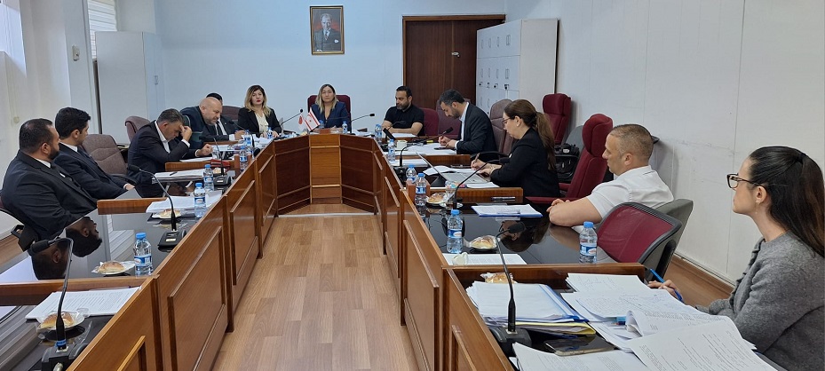 Meclis Komitesinde 1 Yasa Tasarısı, 2 de Yasa Önerisi görüşüldü – BRTK