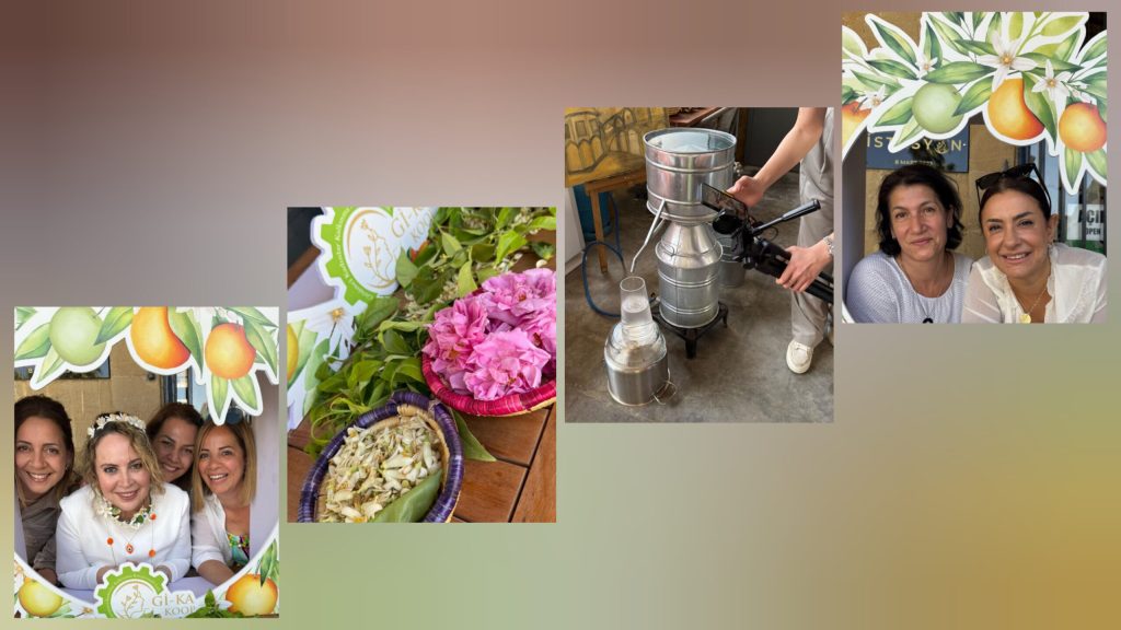 Turunç Çiçeği Festivali renk cümbüşüyle kutlandı – BRTK