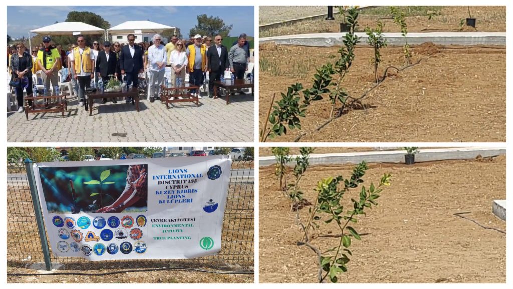 Kalkanlı Yaşam Evi’nde ağaçlandırma etkinliği düzenlendi – BRTK