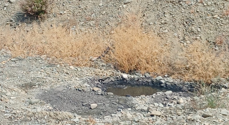 Lefke Çevre ve Ekoloji Derneği’nden lağım suları sorununa kalıcı çözüm çağrısı – BRTK