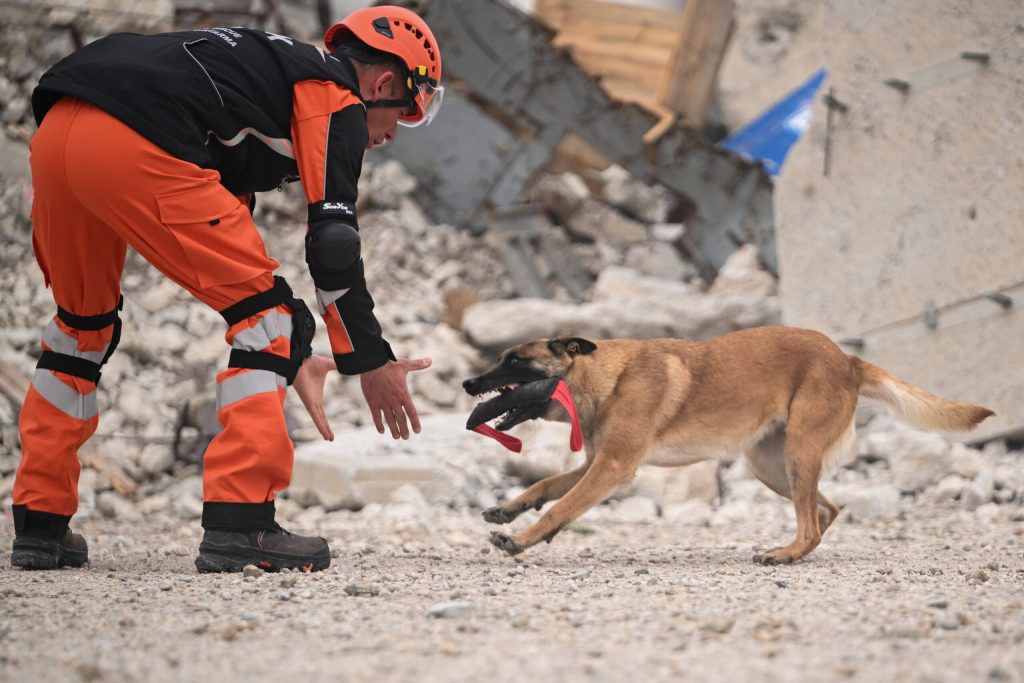 KKTC ve Türkiye’den ortak deprem tatbikatı – BRTK