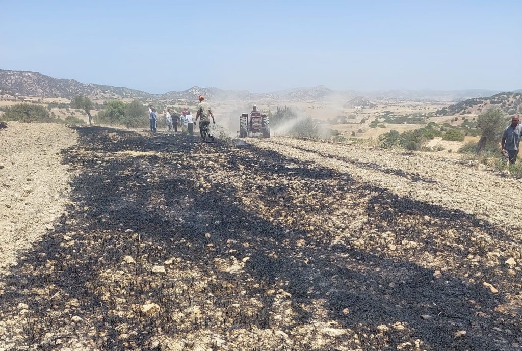 Mehmetçik yakınlarında arazi yangını – BRTK
