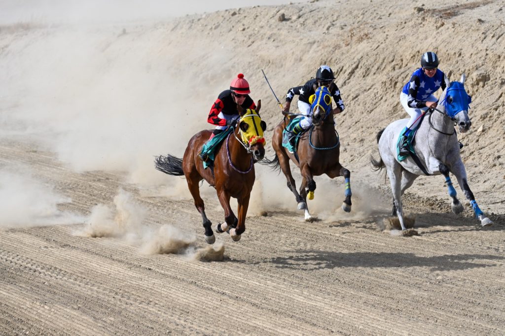 At yarışları yapıldı – BRTK