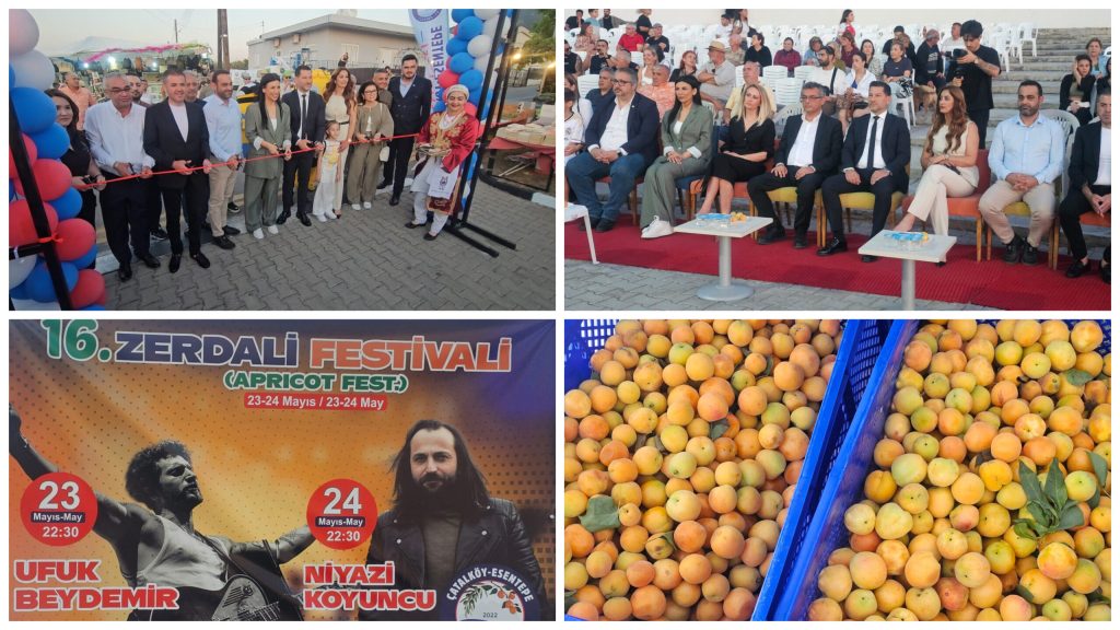 16. Zerdali Festivali başladı – BRTK