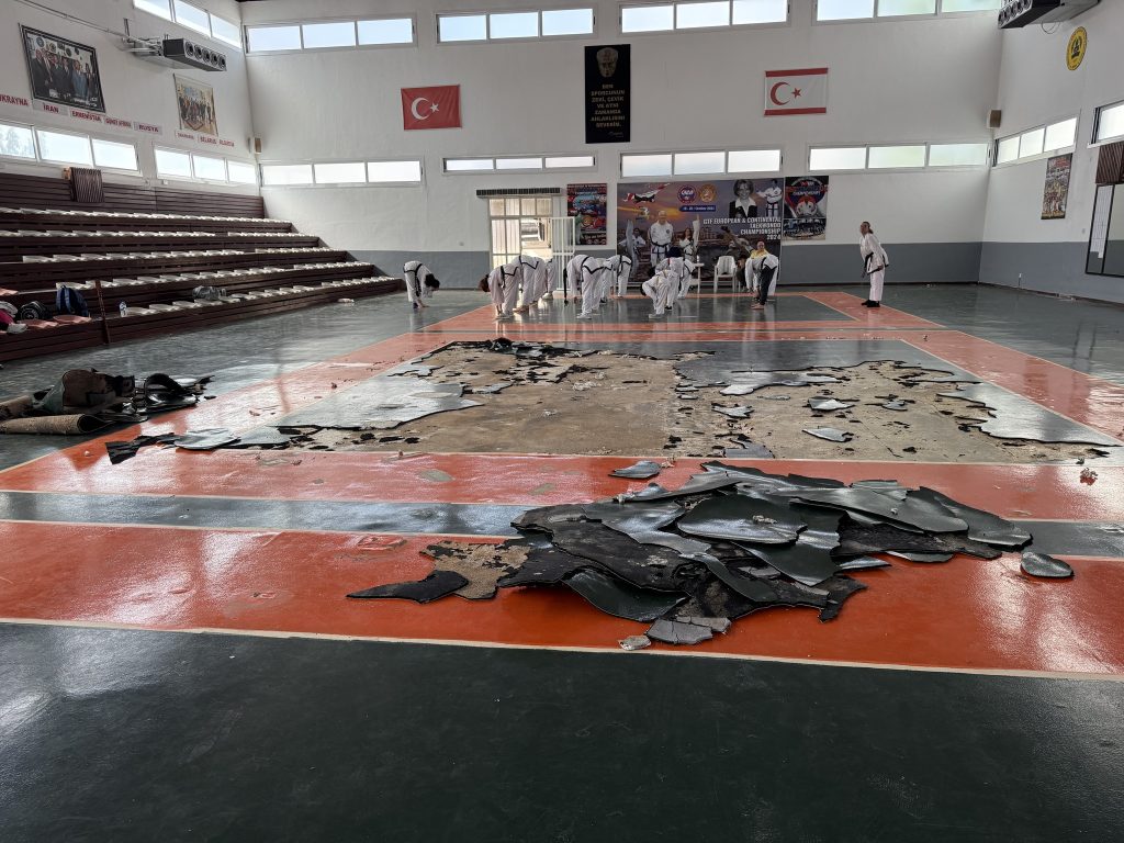 Parkeye zarar verildi – BRTK