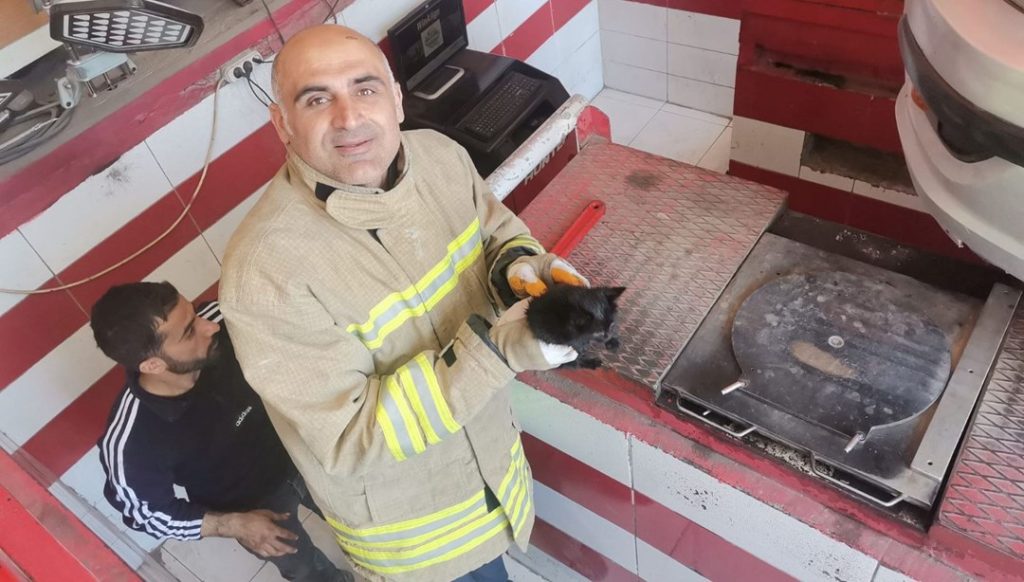 Otomobilin motor bölümüne sıkışan yavru kedi kurtarıldı – Son Dakika Türkiye Haberleri