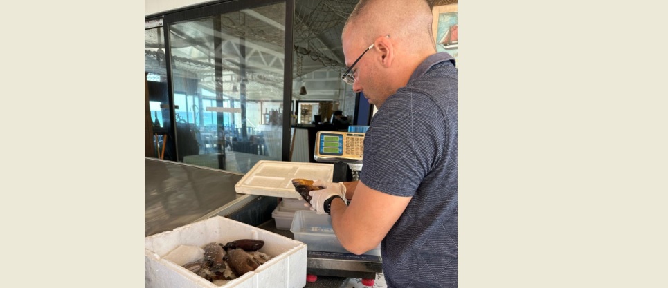 Restoranlara denetim:Tarım Bakanlığı bazı deniz ürünlerine el koydu – BRTK