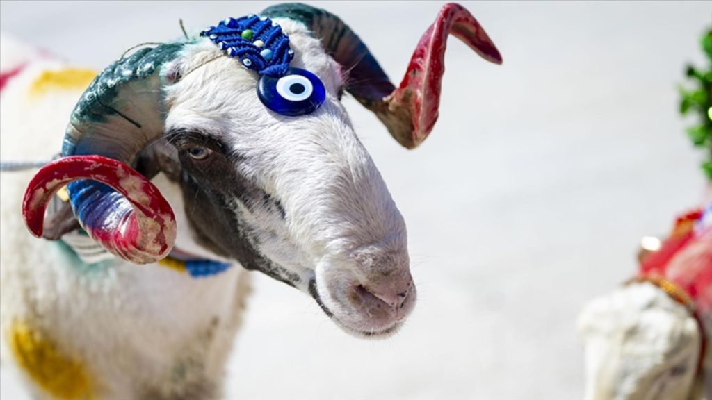 Bayram için hazırlıklar sürüyor – BRTK