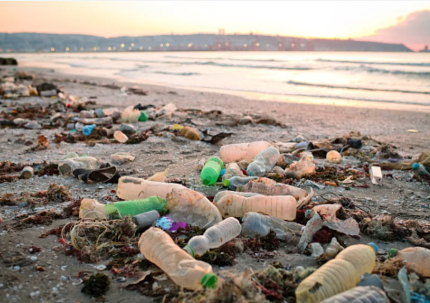 “Plastik kirliliği geleceğin en önemli sorunlarından biri” – BRTK