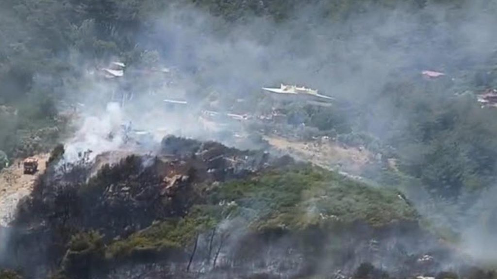 İzmir’de orman yangını kontrol altına alındı – BRTK