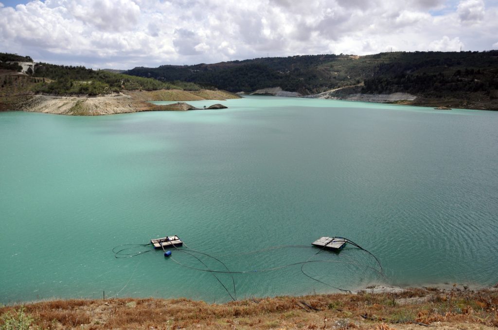 Narenciye Üreticiler Birliği’nden su dağıtımında adalet ve planlama çağrısı – BRTK
