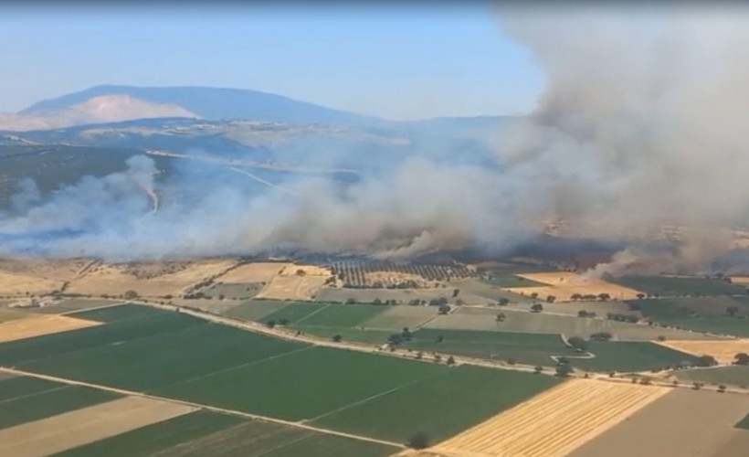 İzmir’de orman yangını – BRTK