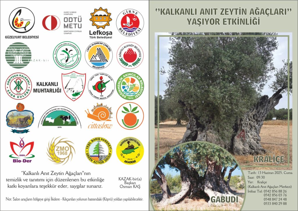 “Kalkanlı Anıt Zeytin Ağaçları Yaşıyor” etkinliği 13 Haziran Cuma günü düzenlenecek – BRTK
