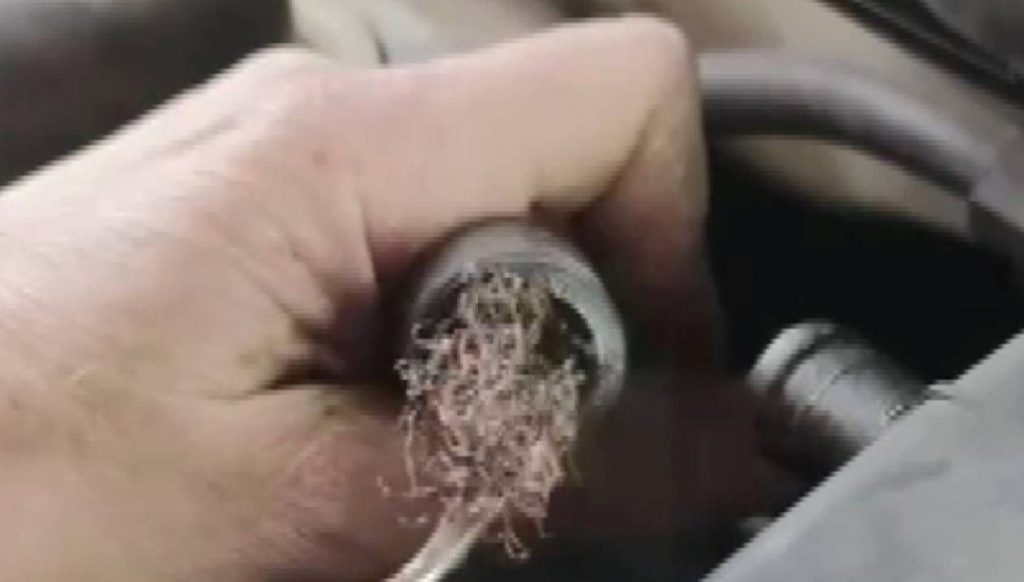 Pes dedirten görüntü: Otomobilin motorundan çıktı – Son Dakika Türkiye Haberleri