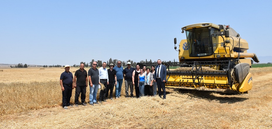 Reşatbey Arpası’nın hasadı tamamlandı – BRTK