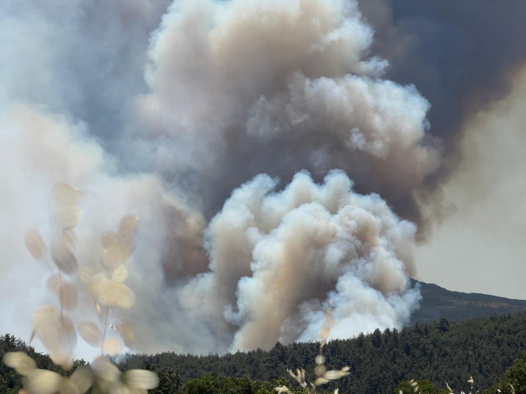 Alevler evlere sıçradı – BRTK